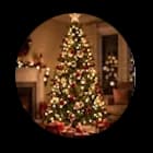Navidad & Año Nuevo